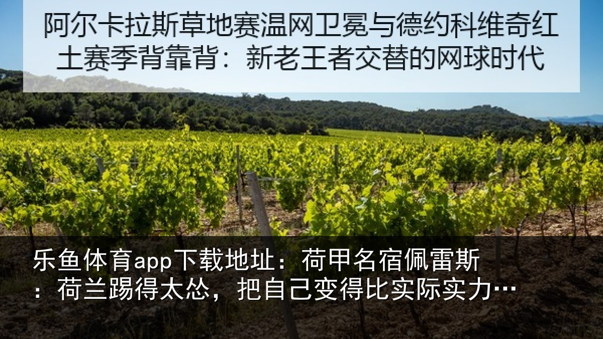 乐鱼体育app下载地址：荷甲名宿佩雷斯：荷兰踢得太怂，把自己变得比实际实力更弱