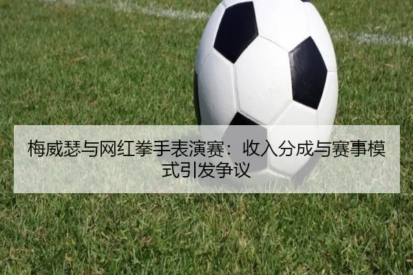 梅威瑟与网红拳手表演赛：收入分成与赛事模式引发争议