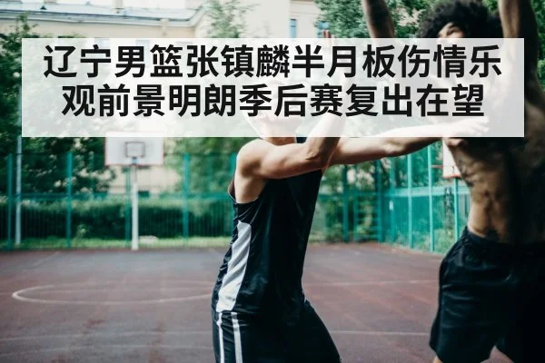 辽宁男篮张镇麟半月板伤情乐观前景明朗季后赛复出在望